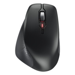 CHERRY JW-8550-2 souris...