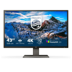 PHILIPS 439P1/00 moniteur...